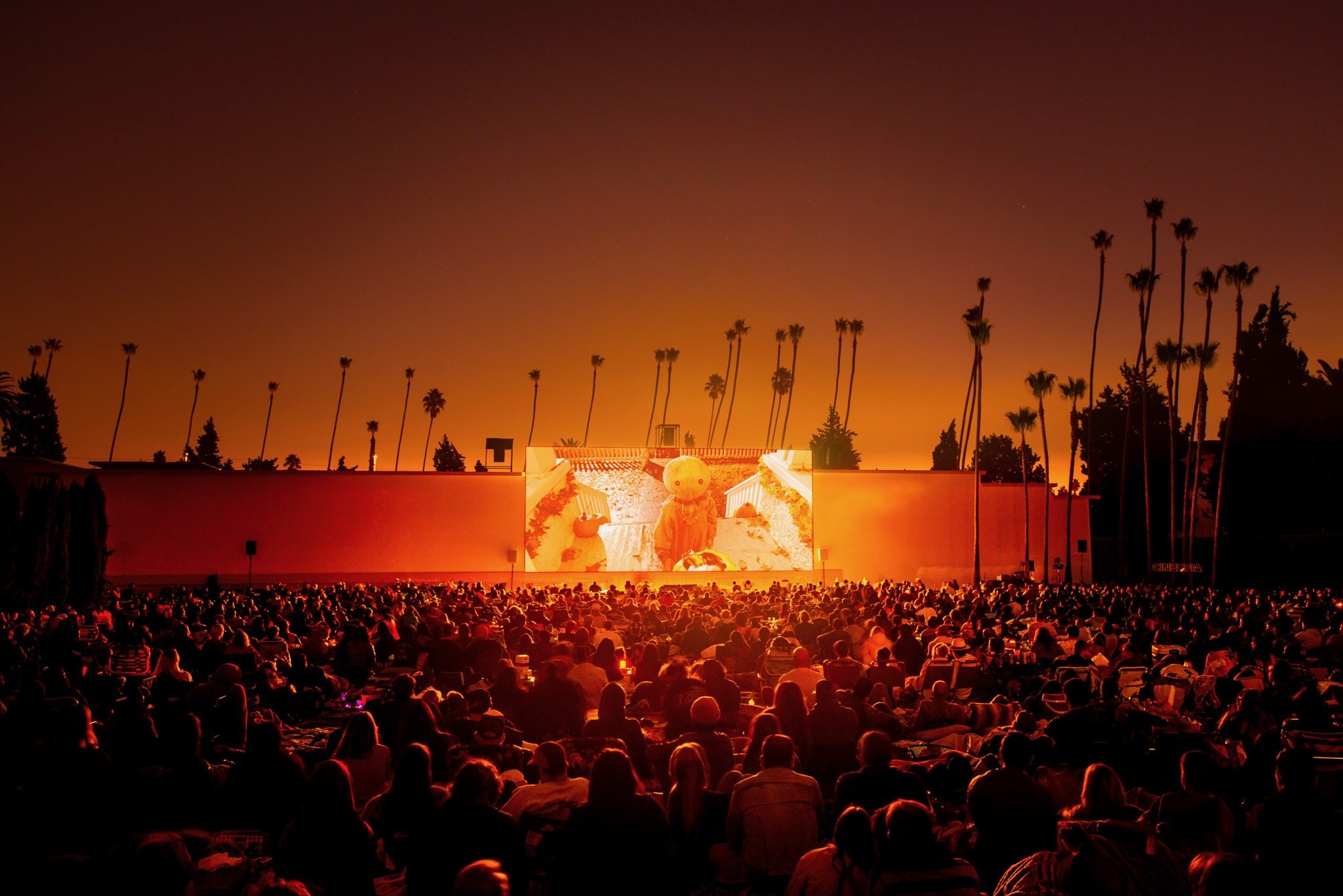 TRT CINESPIA.jpeg