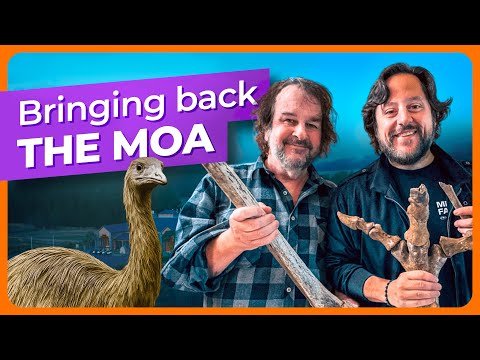New De-Extinction Announcement: the Legendary Moa of New Zealand