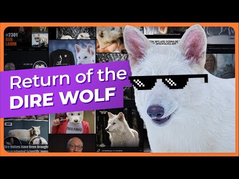 Colossal Made a Dire Wolf and De-Extinction Got Loud