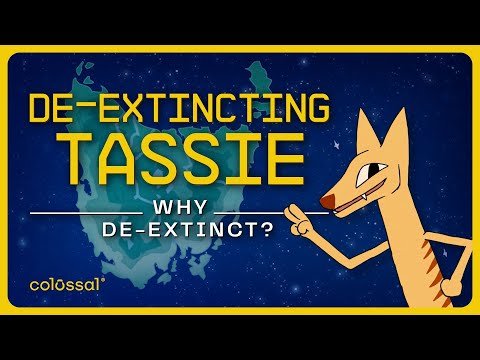 Why De-Extinct the Tasmanian Tiger? | Episode 2 | Colossal Biosciences