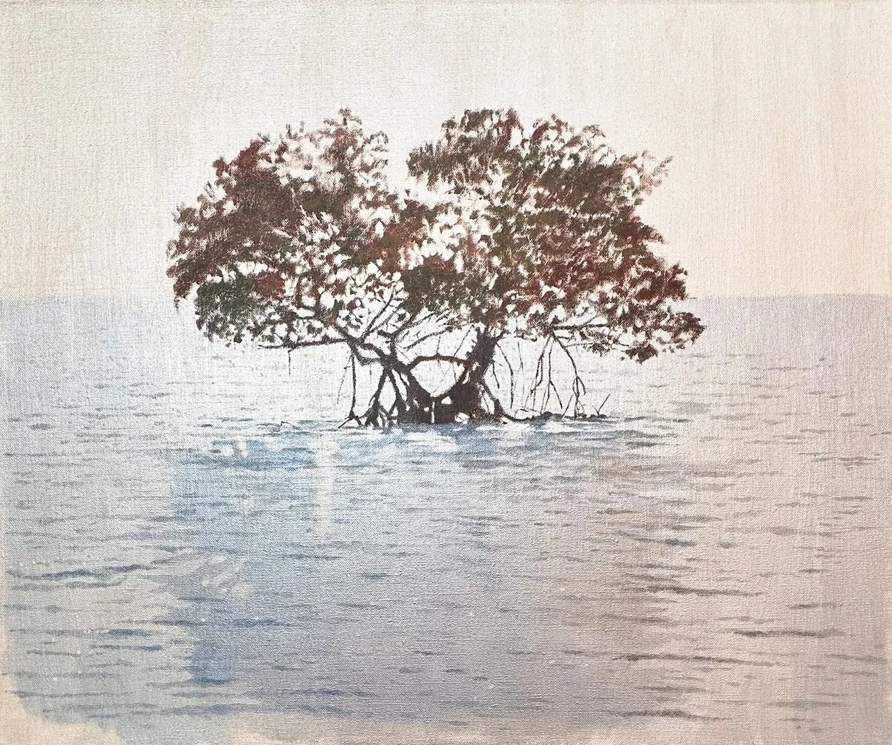 Mangrove