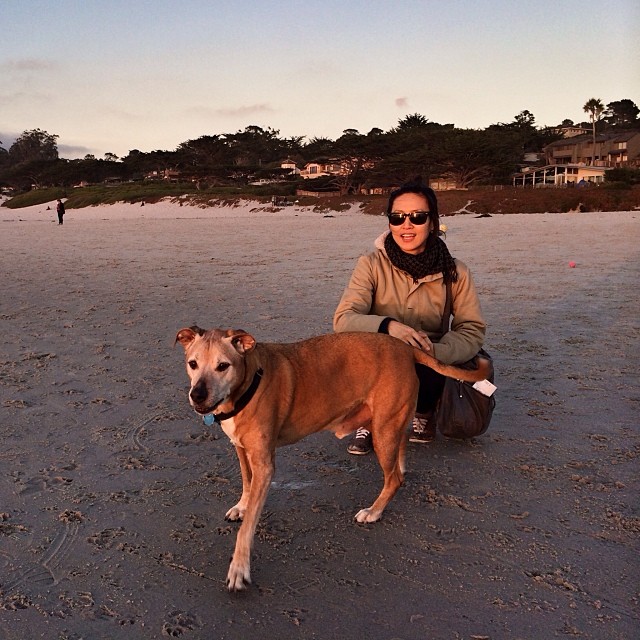 Bosco & @nabiya enjoying the last light of 2013.