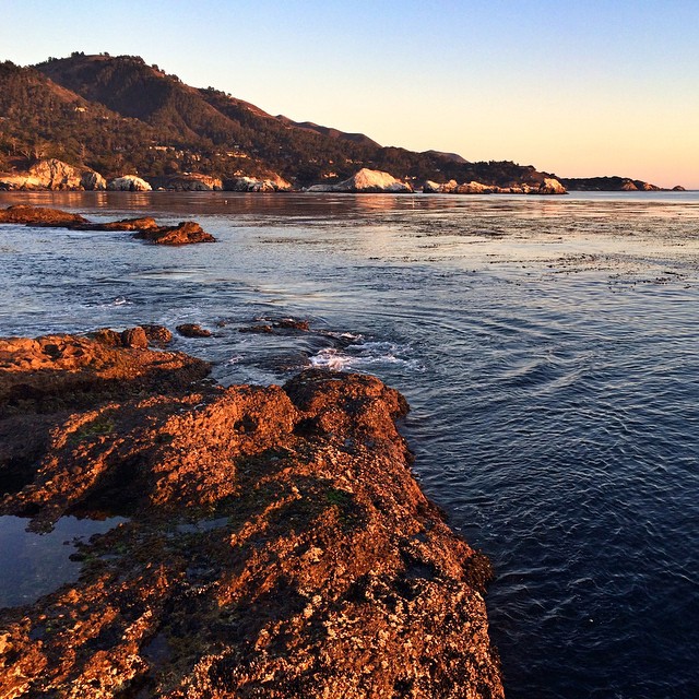 Gorgeous late afternoon light on the California coastline from Point Lobos. #ocean #carmel #monterey