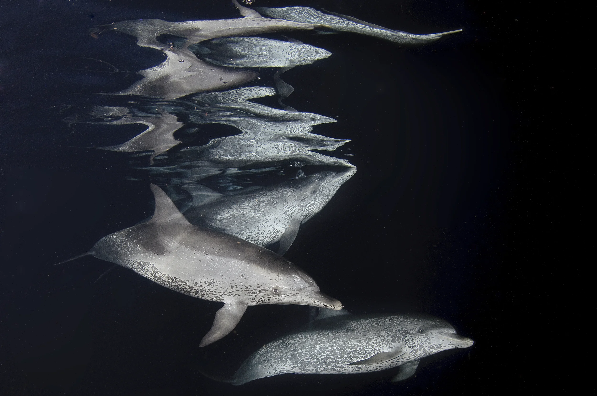 Zumbrunn_20090619_2835 (SZ Mac Pro's conflicted copy 2010-12-12).jpg