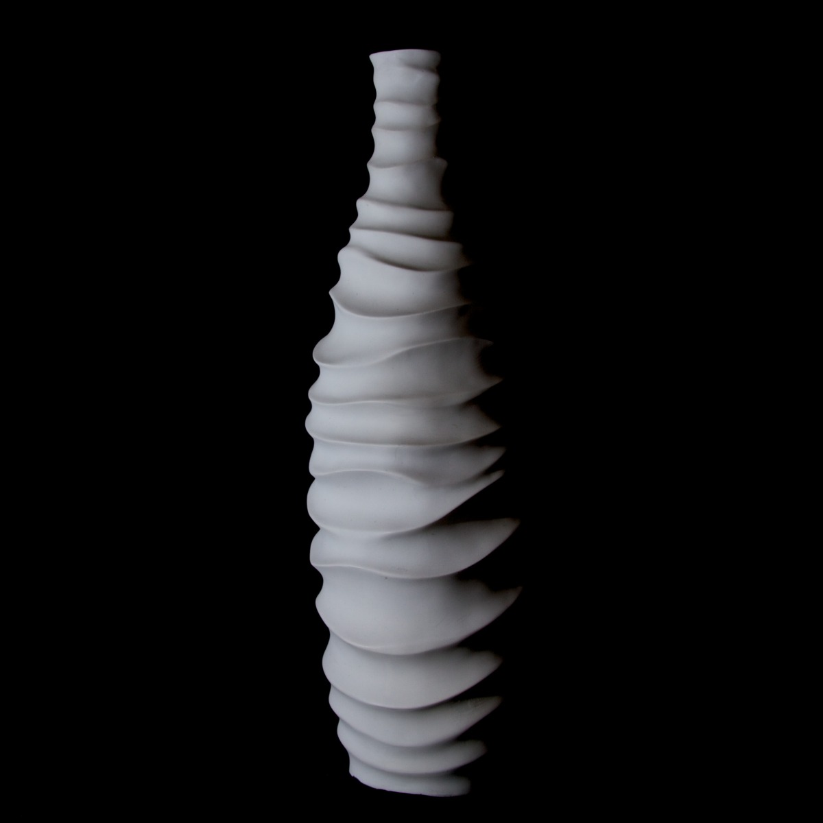 2011-12-24 at 15-43-04 still life white vase light shadow bone waves.jpg