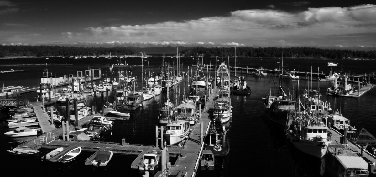 2009-09-15 at 00-53-40 boats, dock, harbour, landscape, marina, seascape, ships, sky.jpg