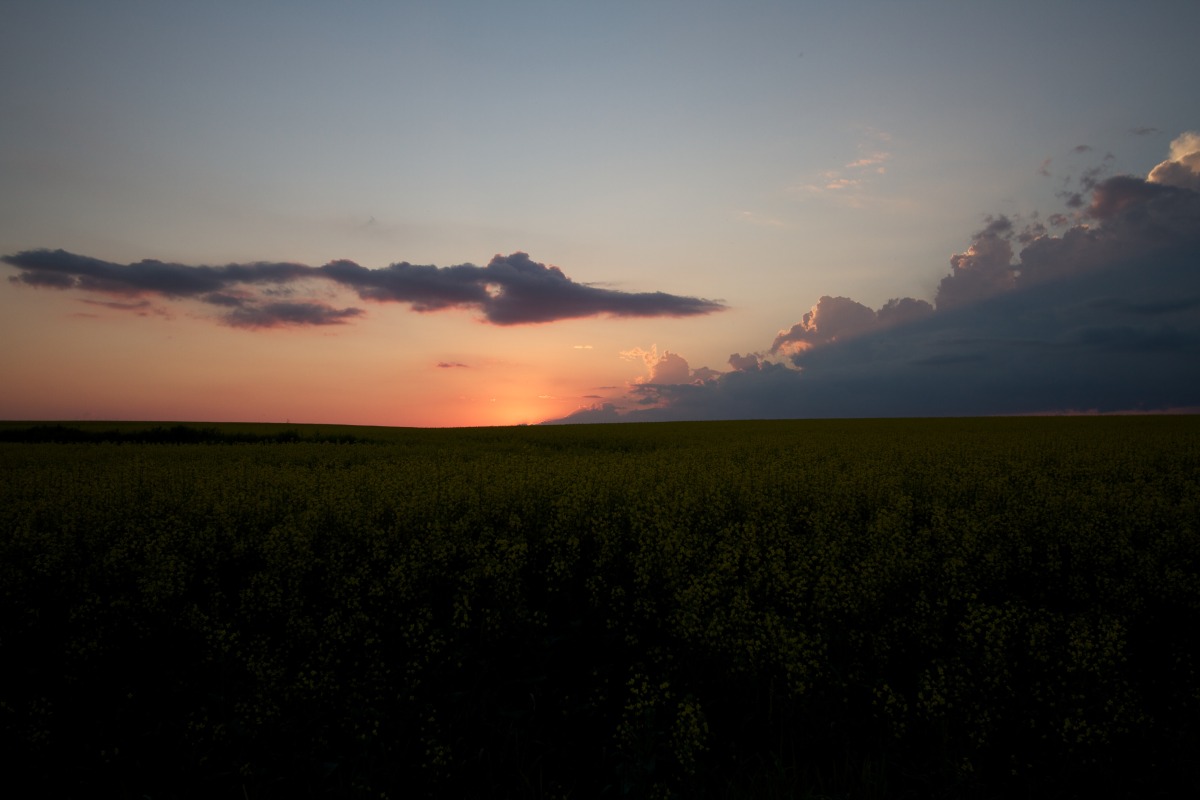 2012-07-07 at 18-35-59 - version 2.jpg