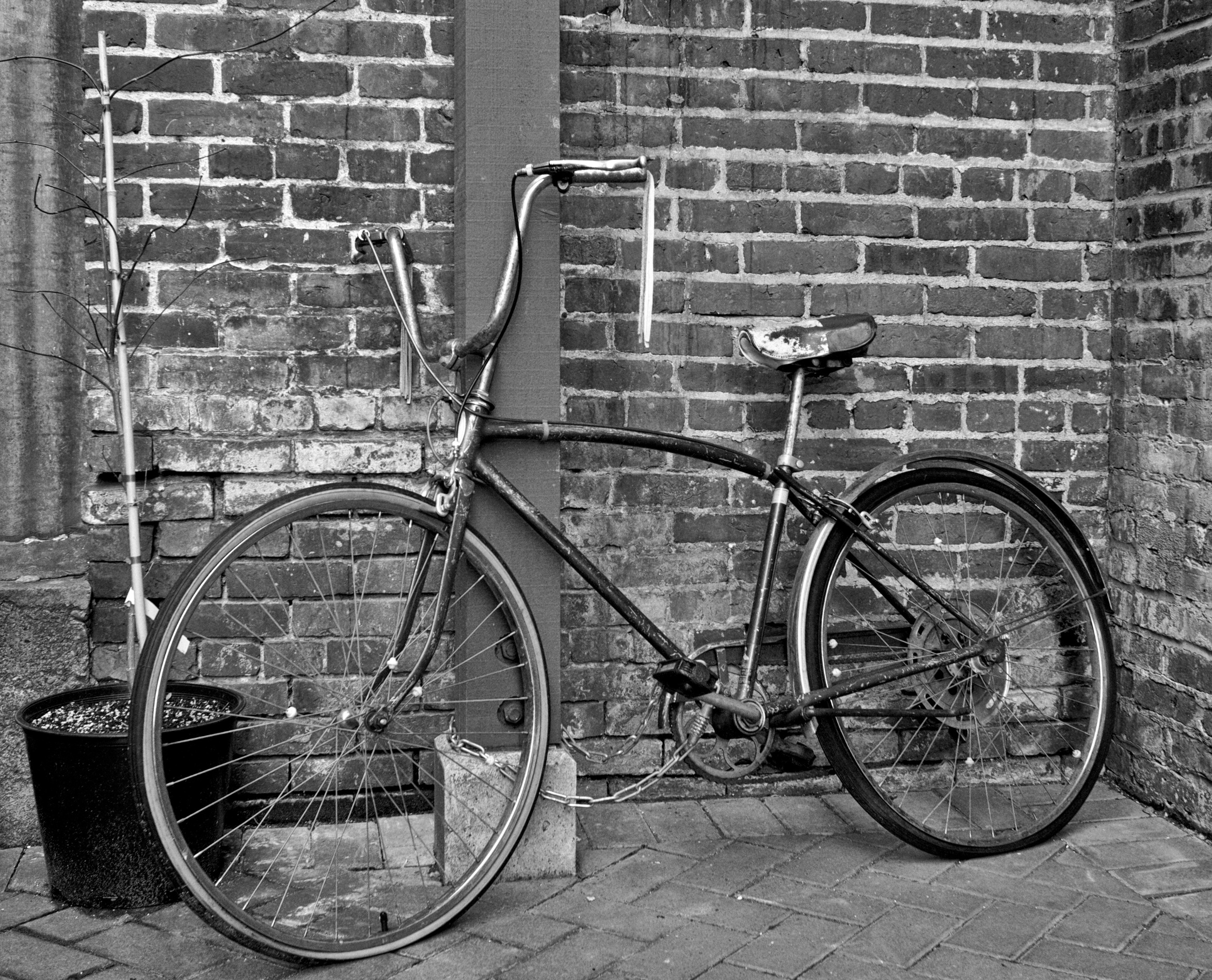 2012-02-04 at 15-14-21 Bicycle, Black & White, Bricks, Old, Street Life Urban.jpg
