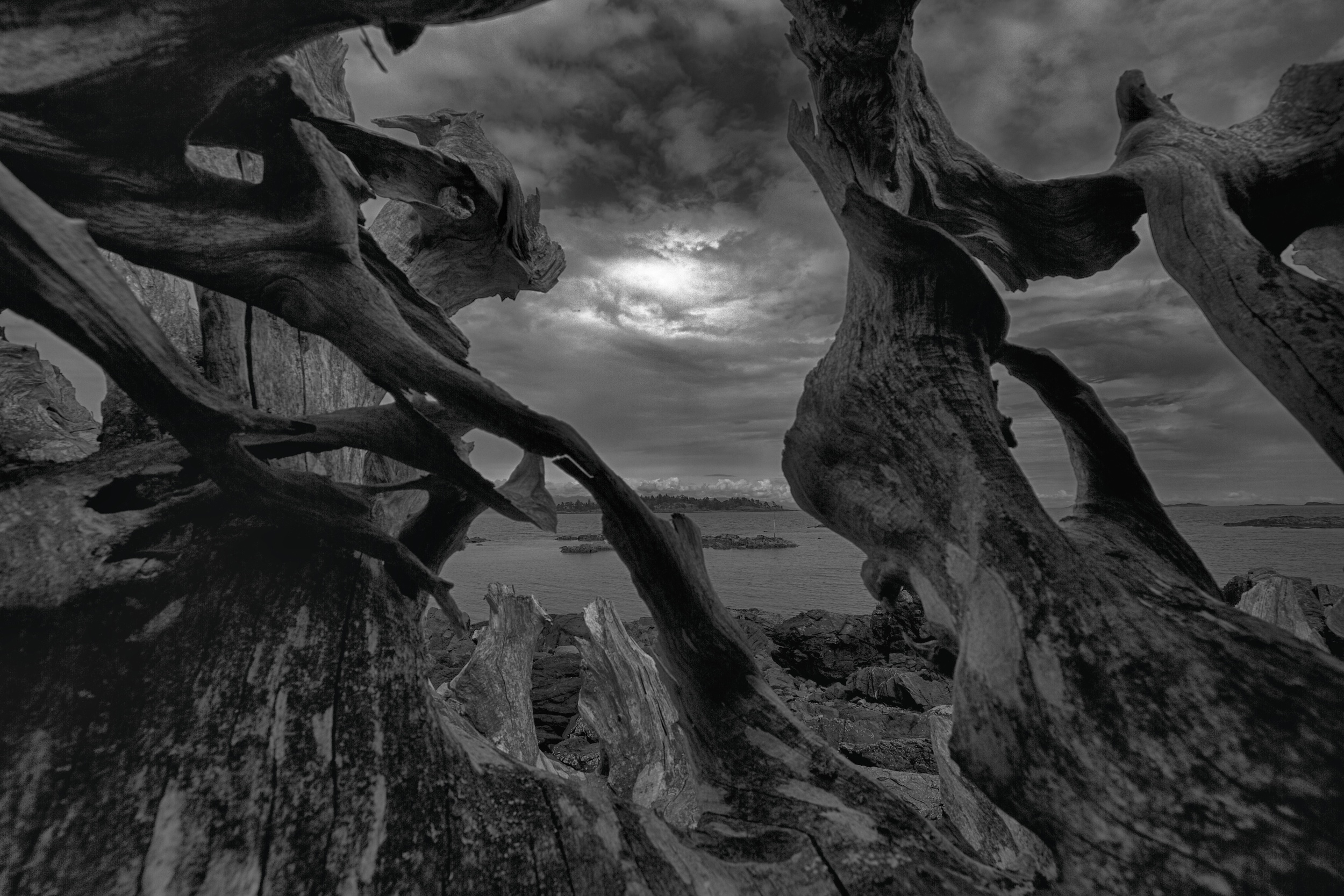 2014-06-20 at 14-49-56_HDR Nature, Driftwood, Black & White, Dragon, Sunset, Ocean, Moody, Dark, Sky.jpg