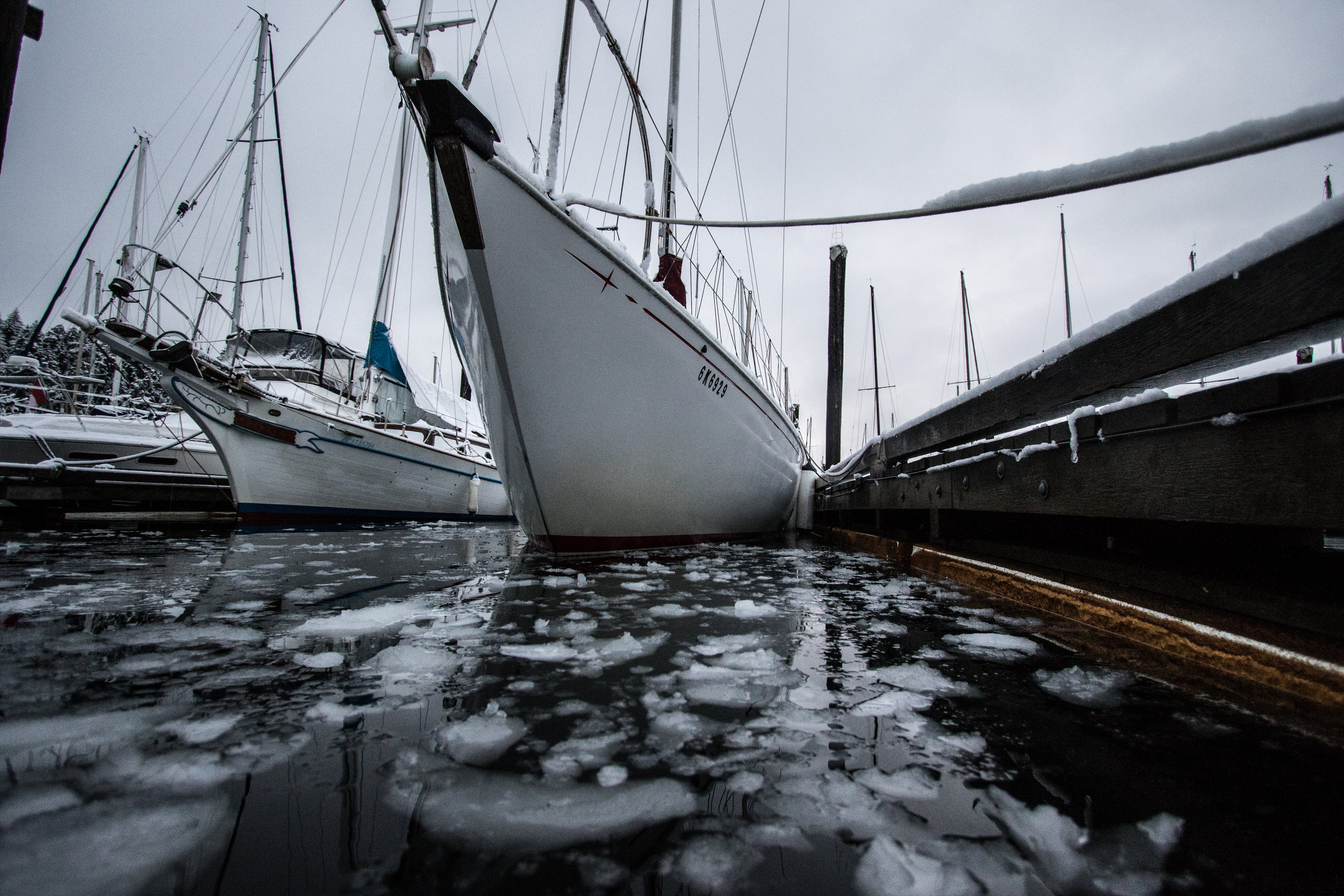 Canon EOS 7D Mk II EF-S 10-22mm at 10mm 1/1250 f/3.5 ISO 1250