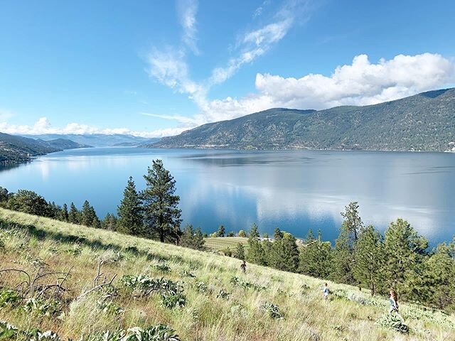 Took our little niece on the longest hike yet and she did amazing 💕
.
6.5 kms along the ridge trail