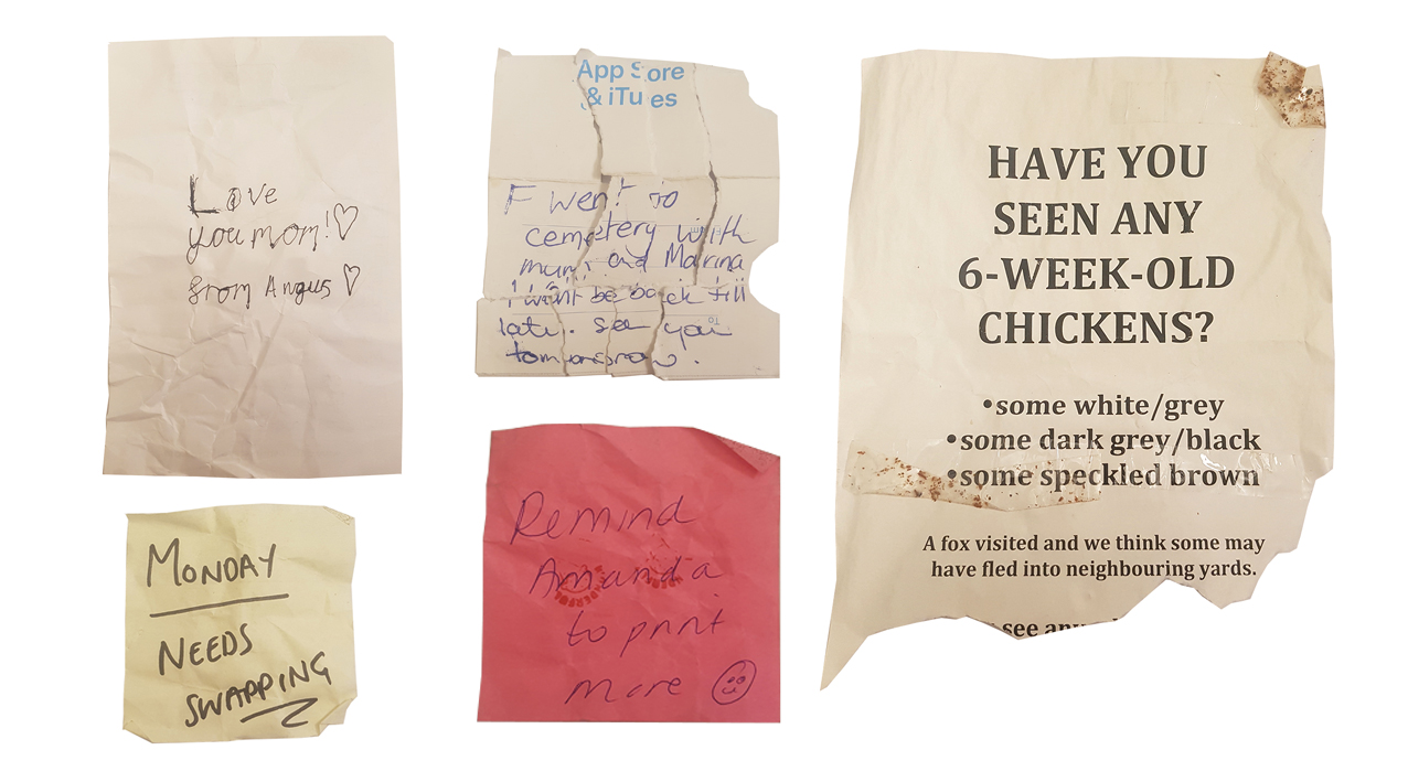Story Litter.jpg