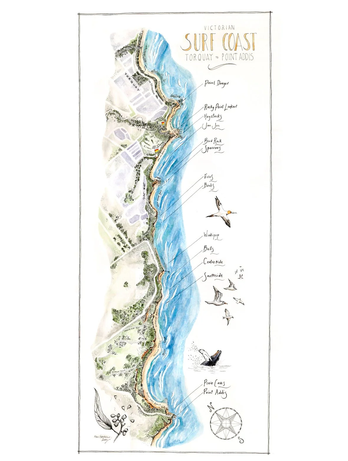 Victorian Surf Coast