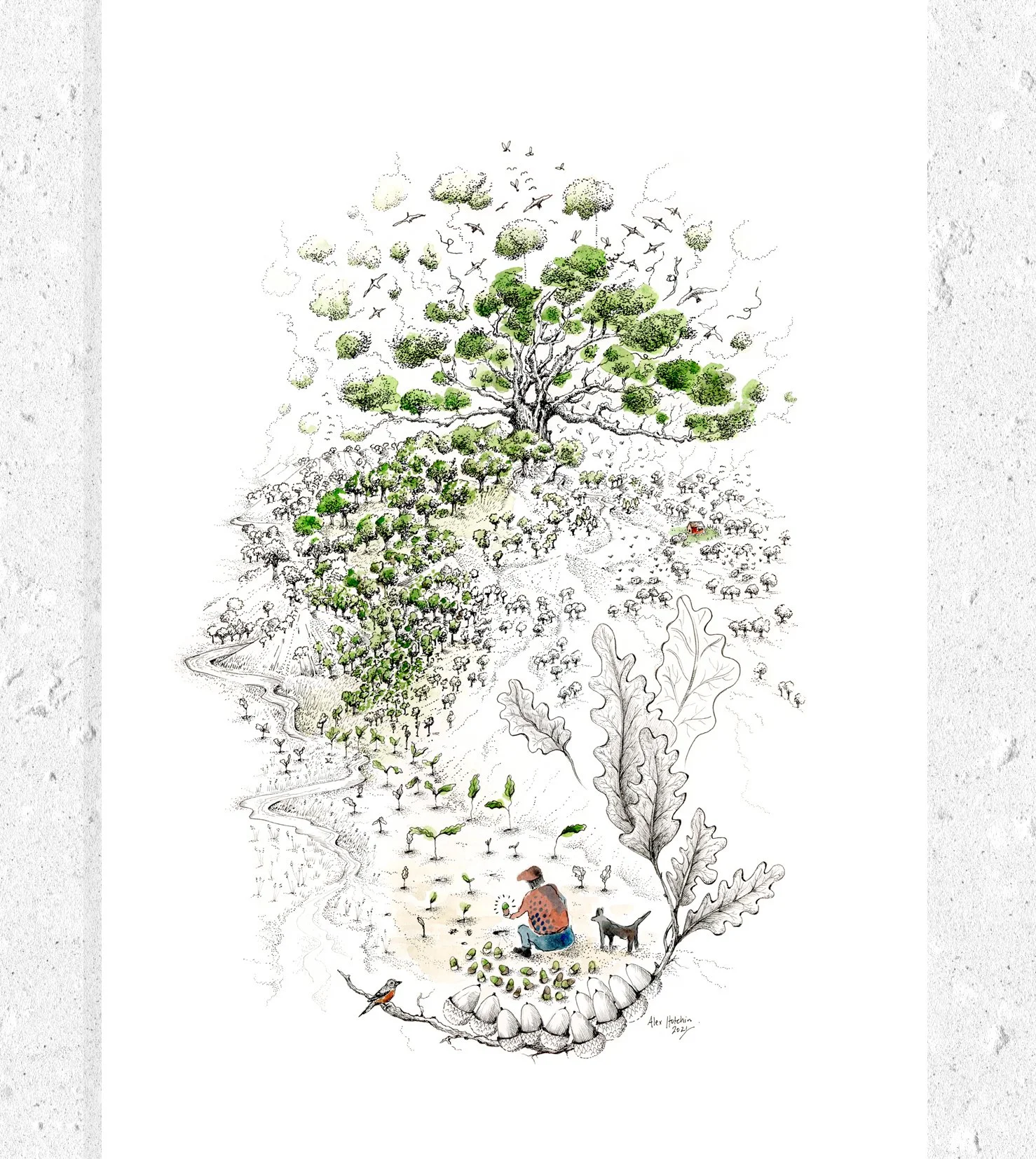Man Trees.jpg