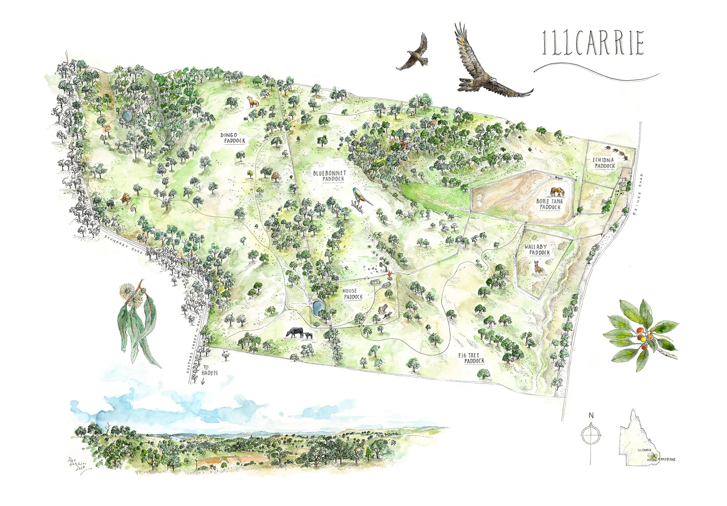 Illcarrie