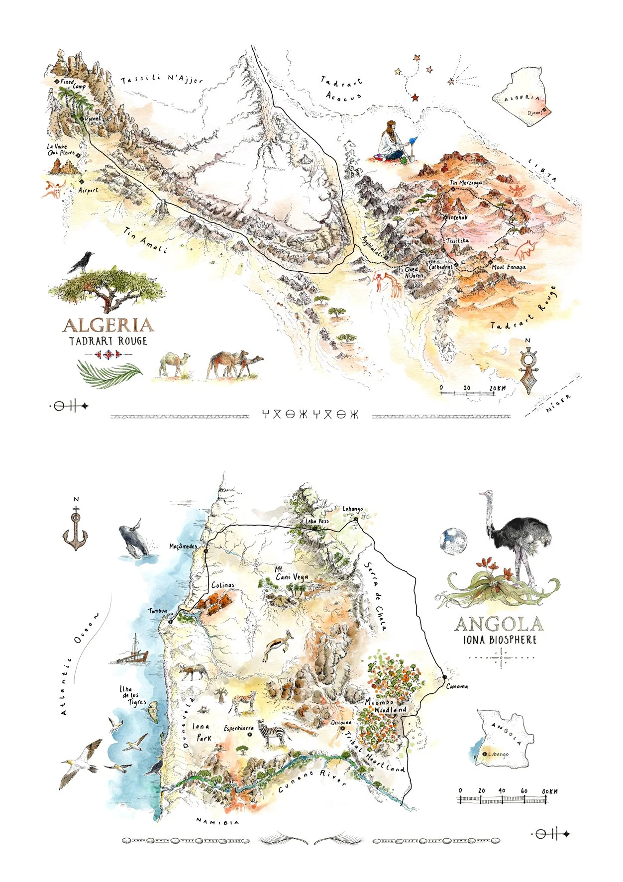  Two of a set of 4 drawings for ROAM Beyond.  The Tadrart Rouge and its sculptured beauty of ancient wadis, mountains and sand dunes in colours of red, orange, pink and yellow.  Iona National Park and its surrounding landscape - home to reptile, plan