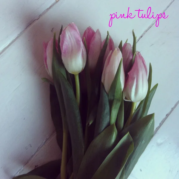 pinktulips.jpg