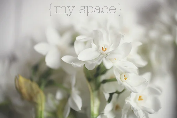 myspace.jpg