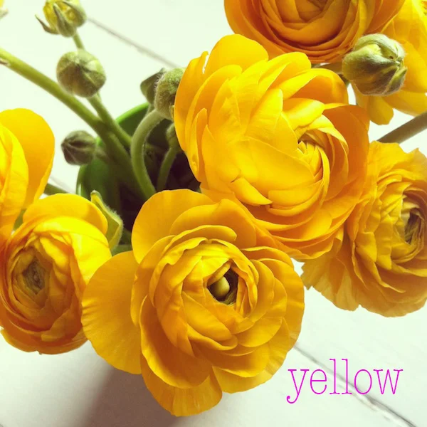 yellow.jpg