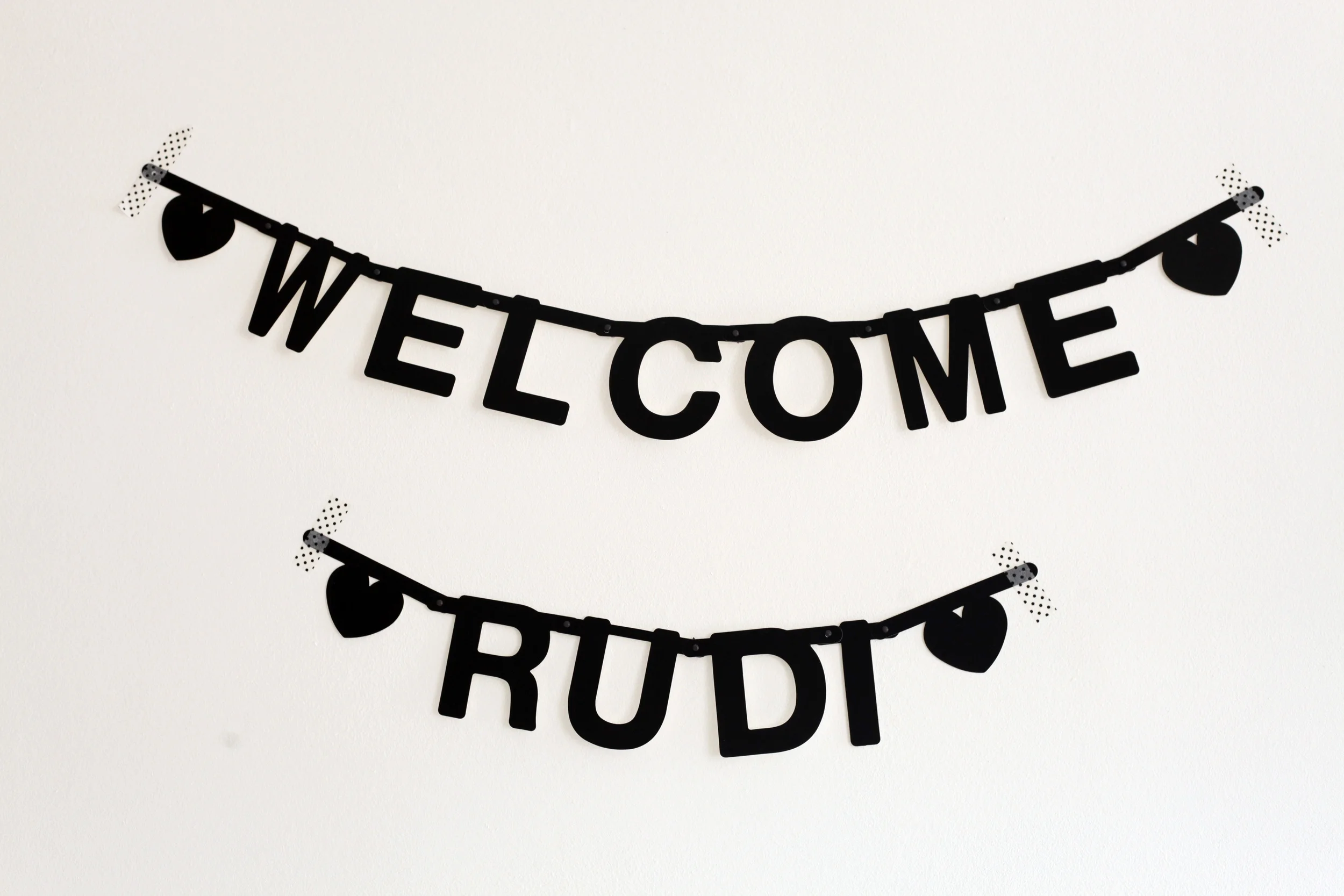 rudi 023.jpg