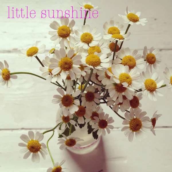littlesunshine.jpg
