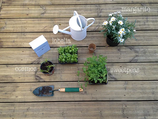 garden 022.jpg