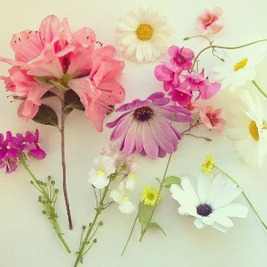 floraljune 014.jpg