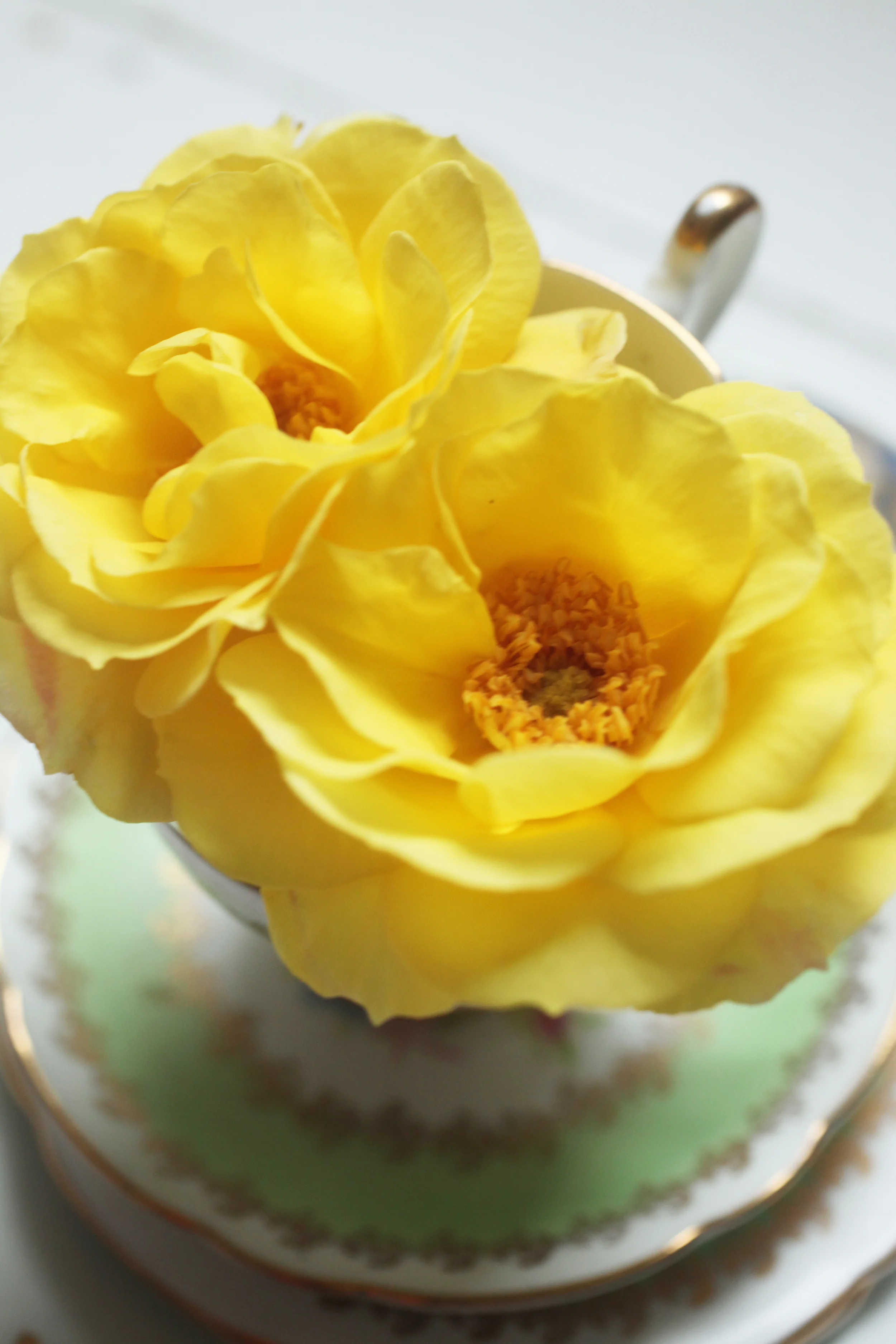 floralfriday 047.jpg