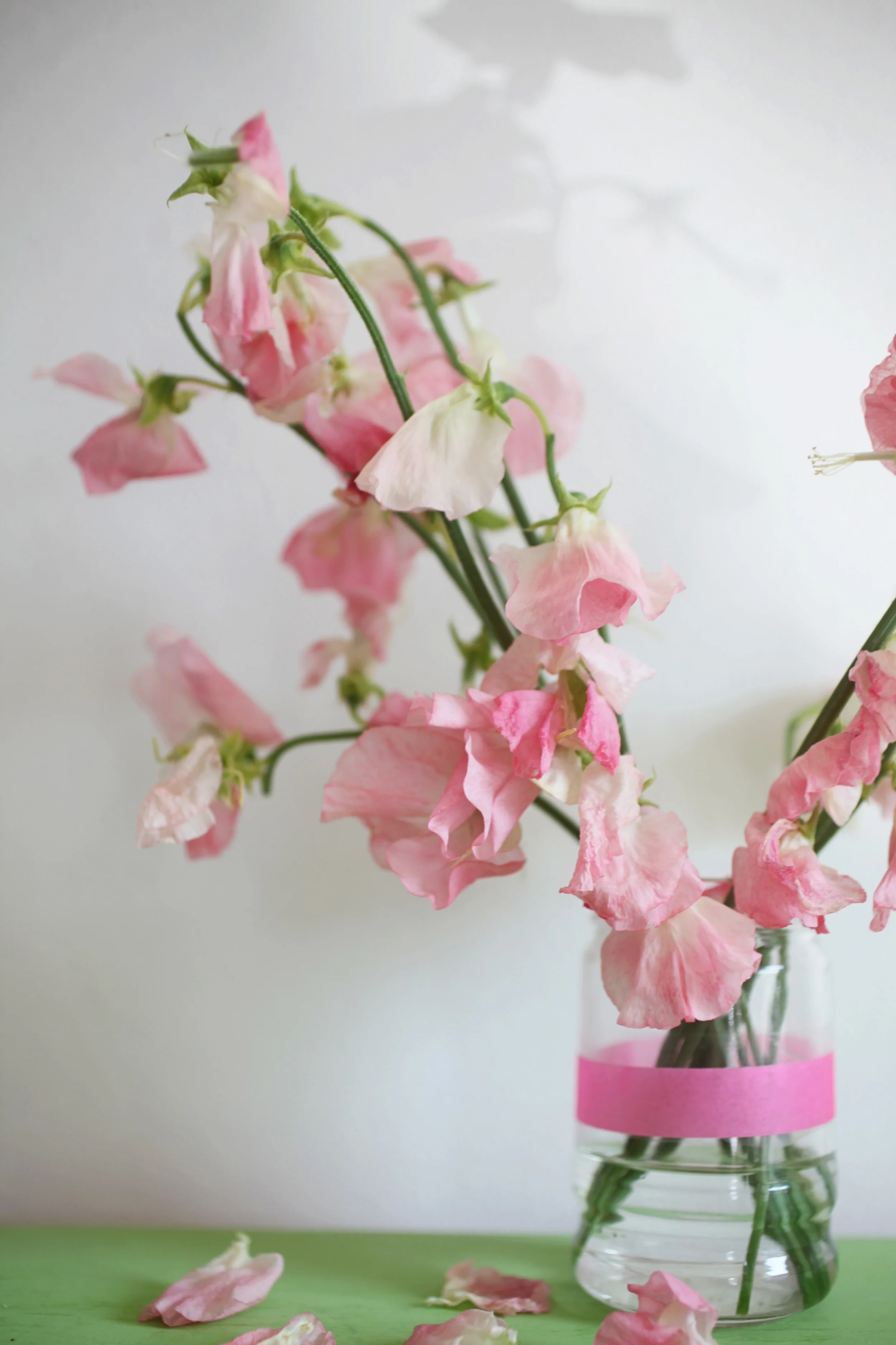 sweetpeas04.jpg