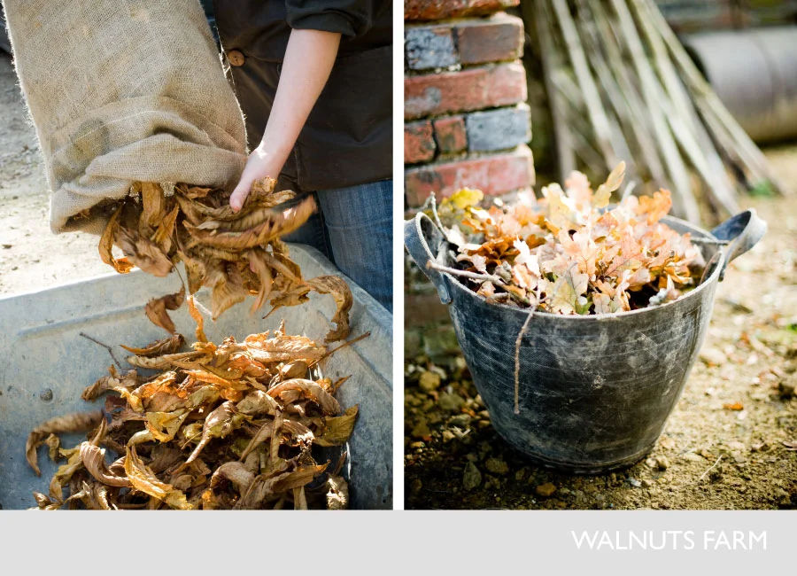 1986-walnuts-farm-film-and-photographic-shoot-location-house-props-dried-leaves-.jpg