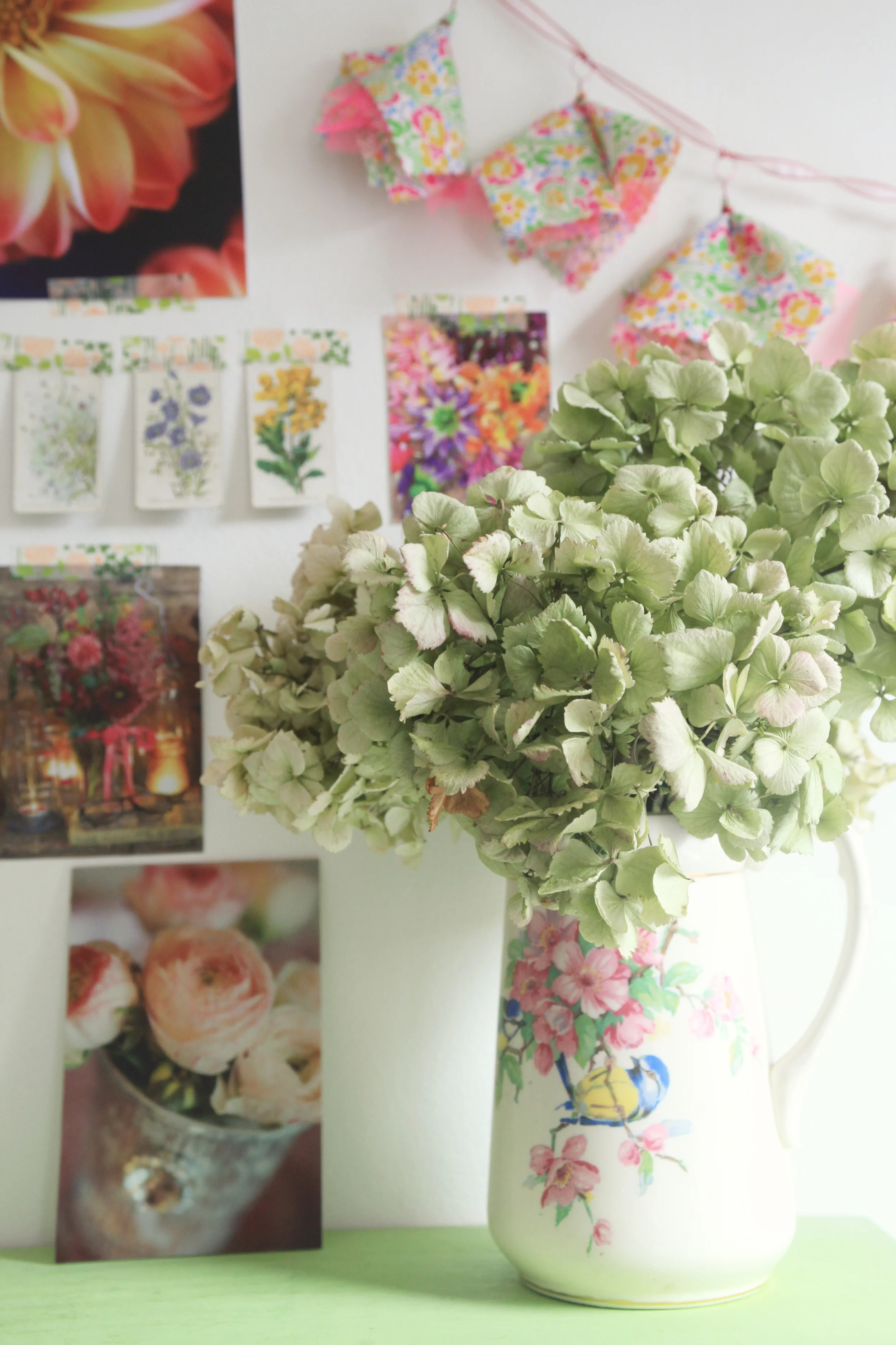 hydrangea.jpg