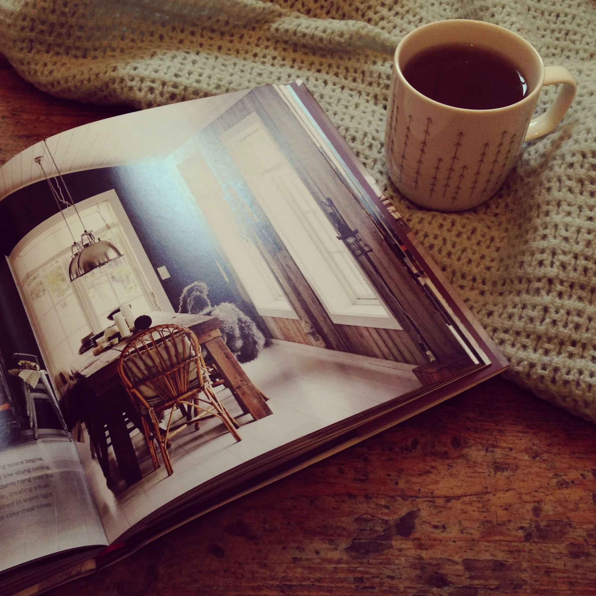 cosy afternoon 2.jpg