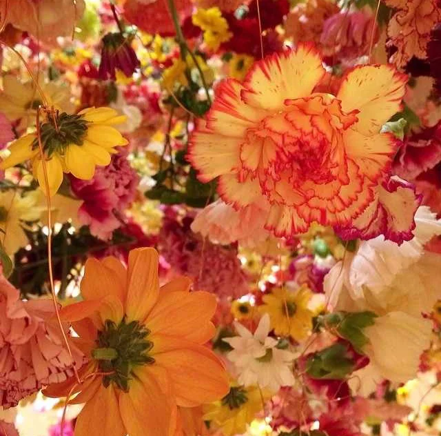 floralfeb 51.jpg