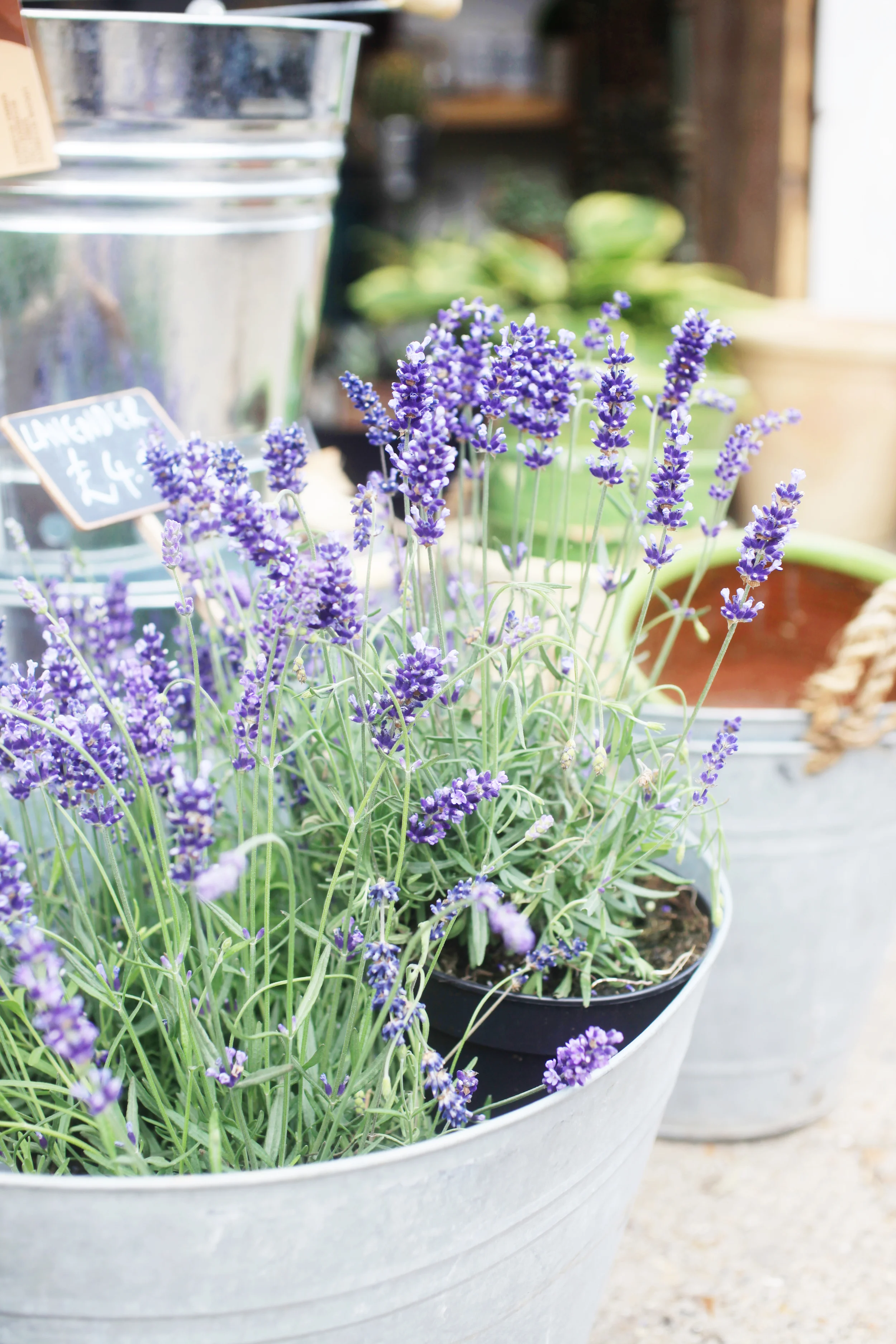 FreshFlowerWorkshop 17.jpg