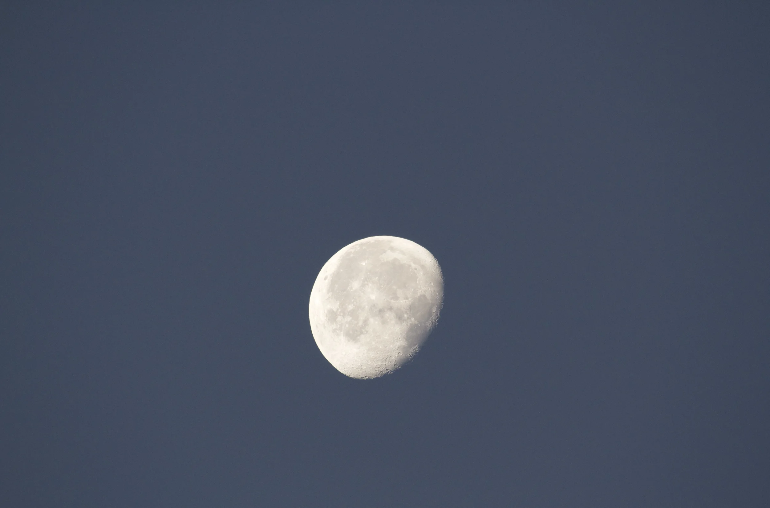 Waning New Years moon at dawn.