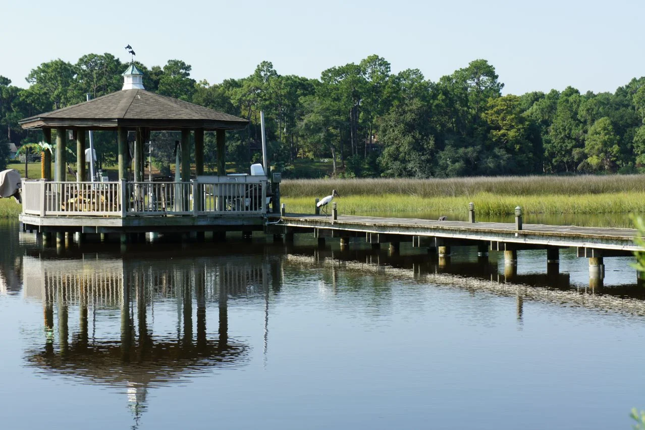 The neighbor's dock and visiting stork.