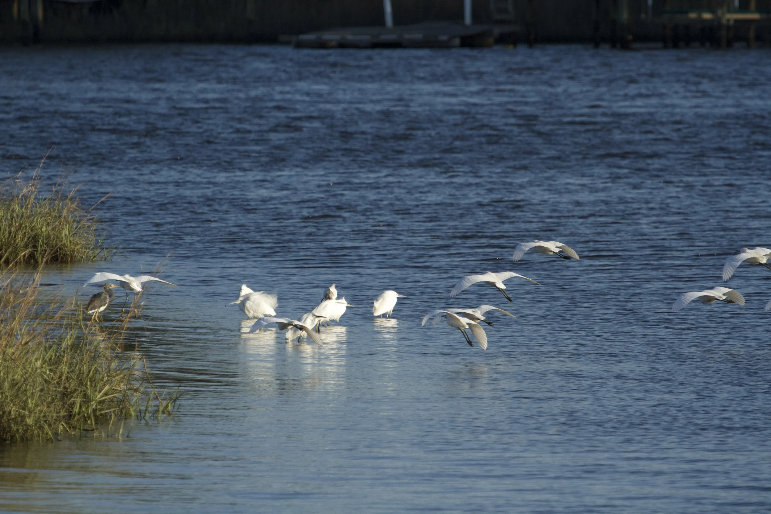 Shall we gather at the River?
