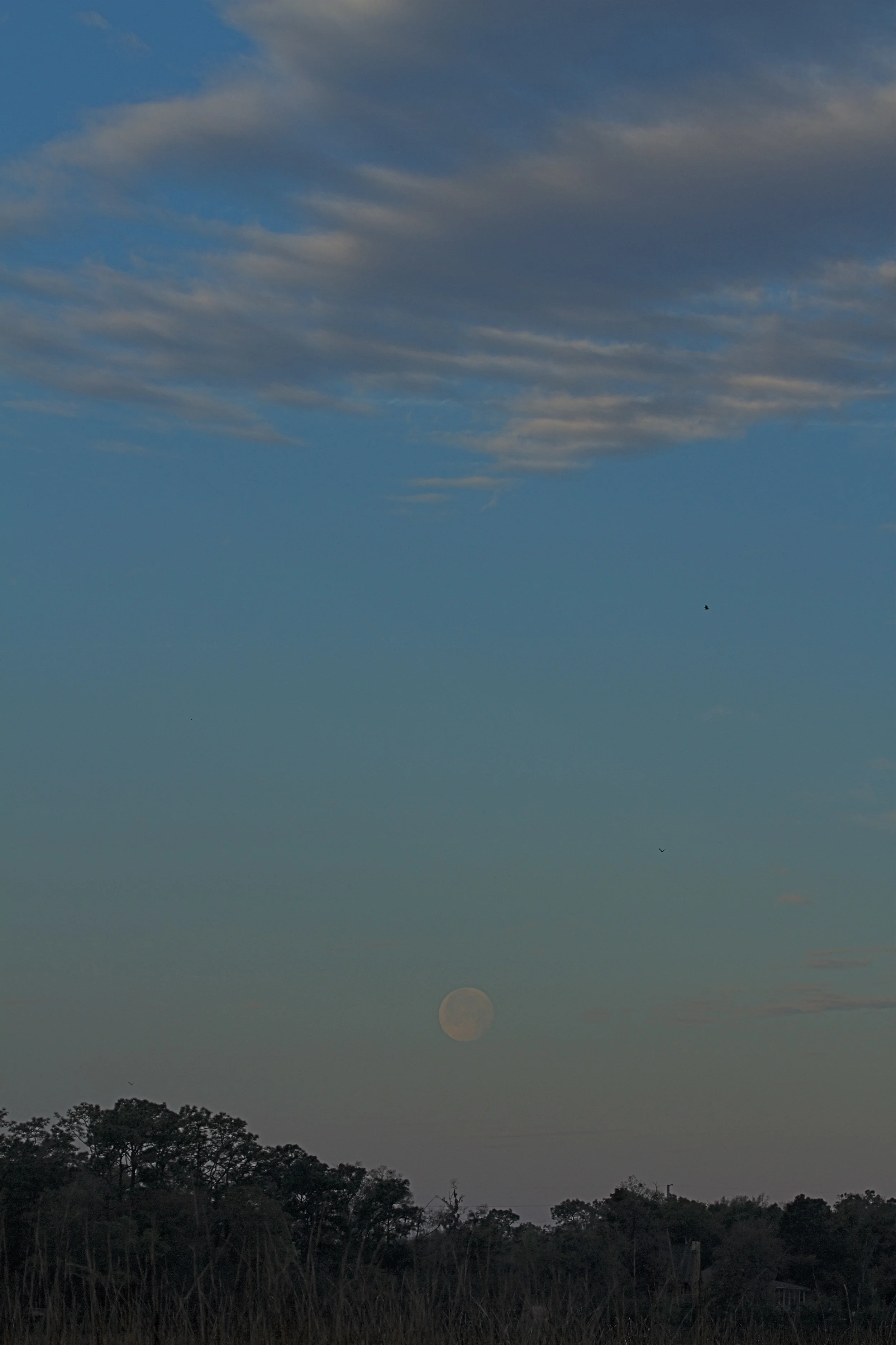 A full moon sets in the morning sky.