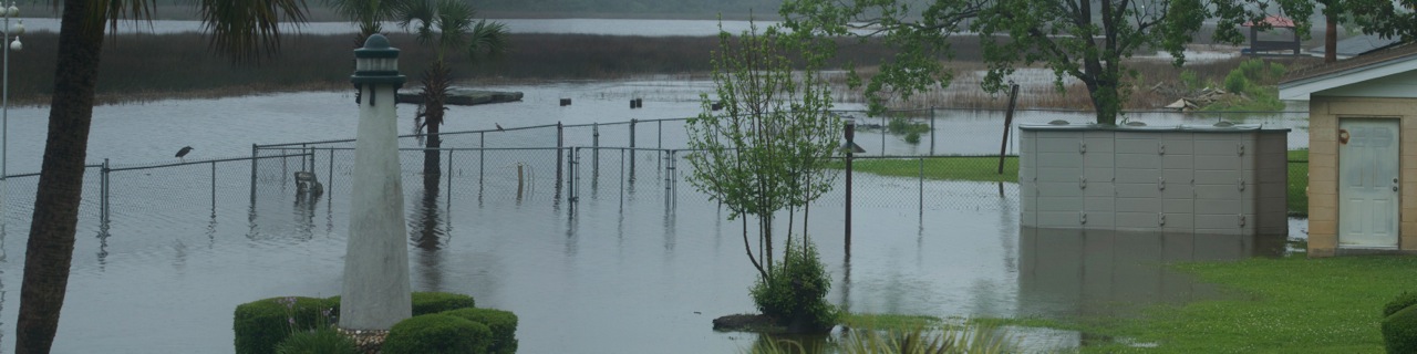 Backyard view of the neigbhors after the deluge! As it was in the days of Noah...
