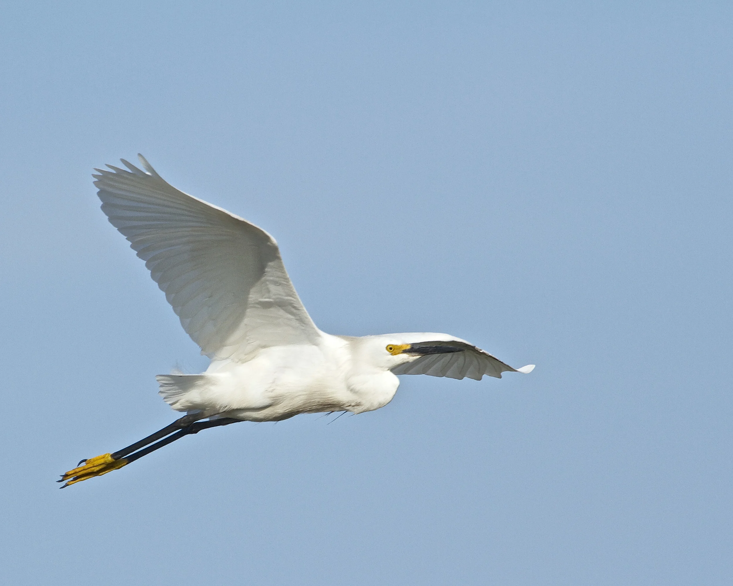 Great Smorgasbord, gotta fly!
