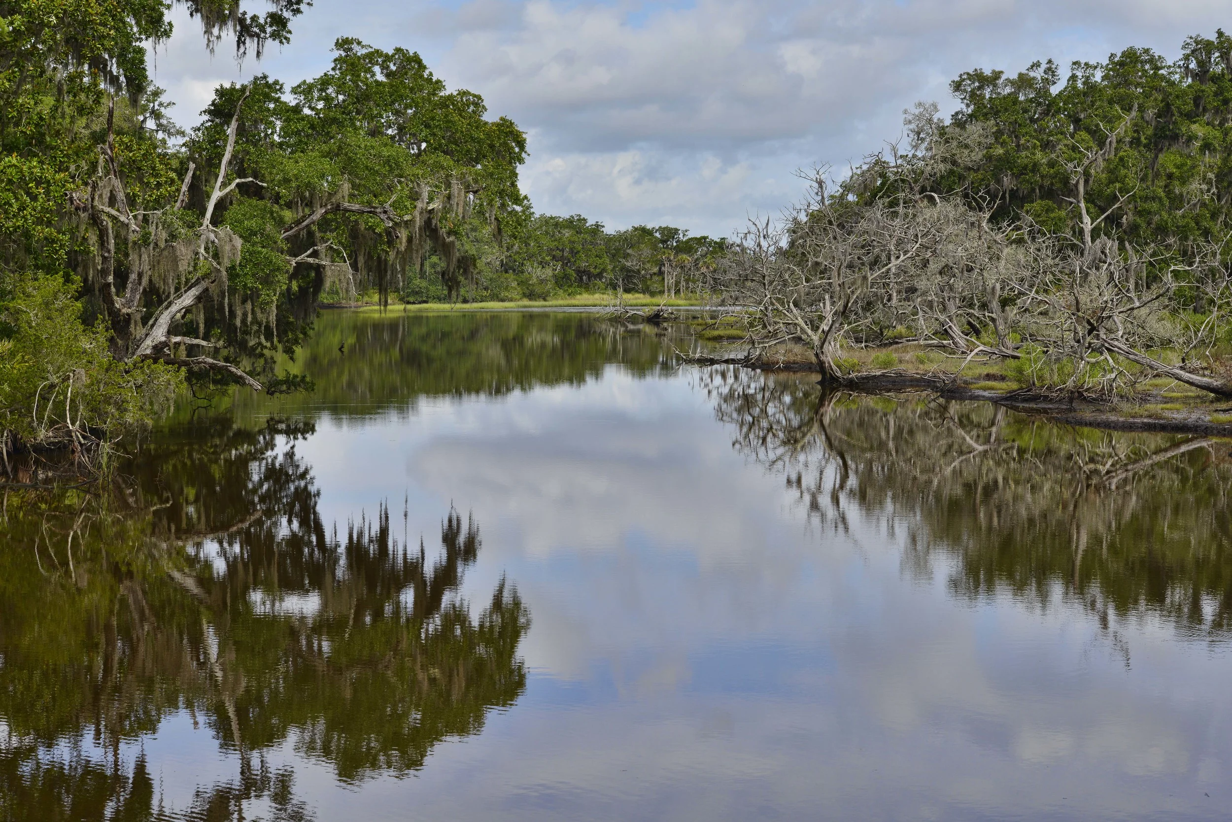 Tidal Creek near Plum Orchard Mansion often full of birds (but not today) ! ! Photo by Clayton B Green with permission..he is great at nature-scapes photos!
