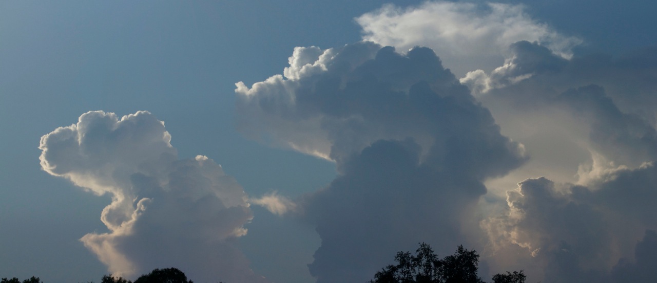 Life's Illusions in the clouds. I see a Florida Gator in the middle. What do you see? 