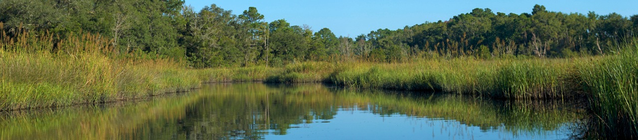 September morning, heading up Turtle Creek on the Broward.