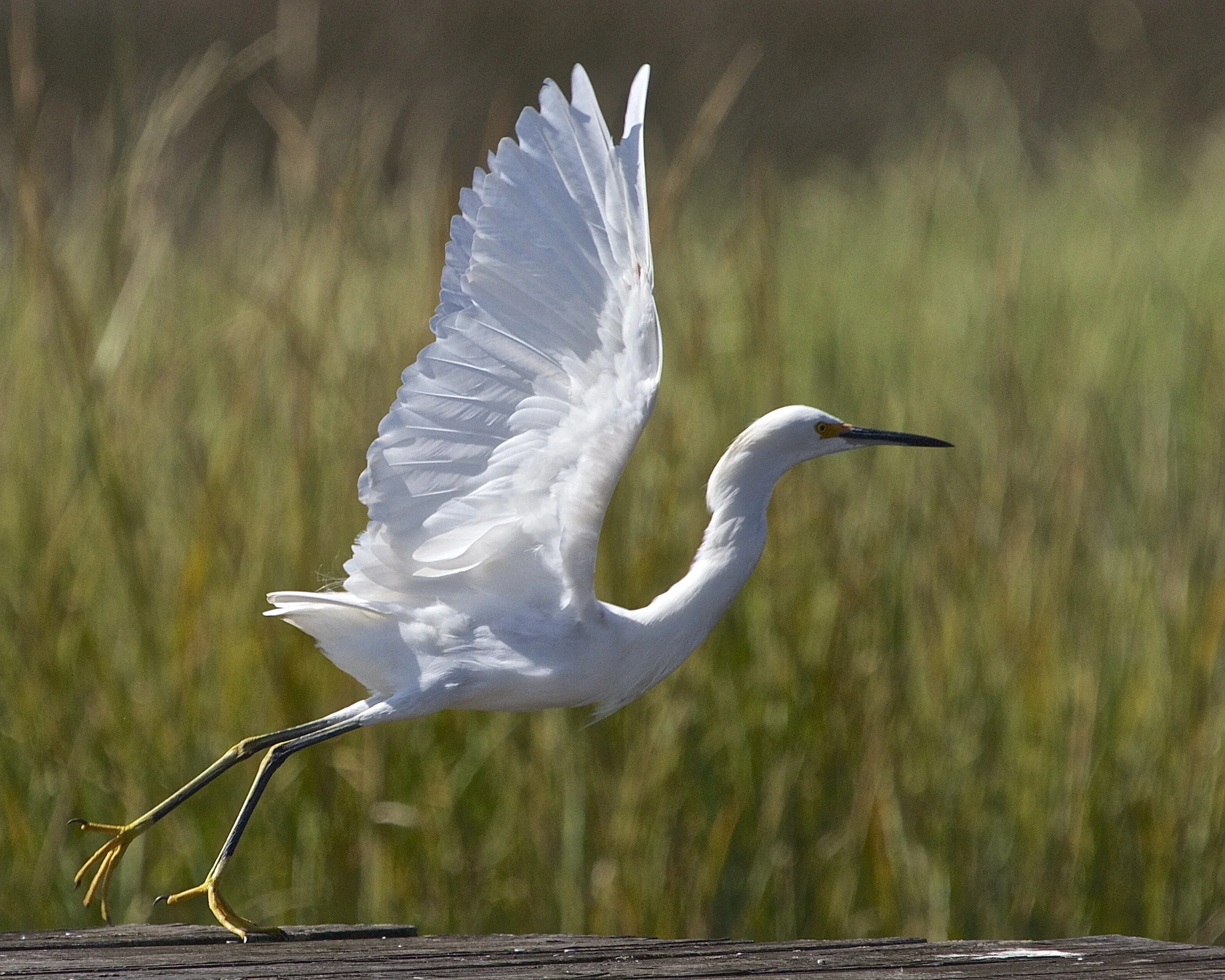 Gotta fly,,see ya next time!