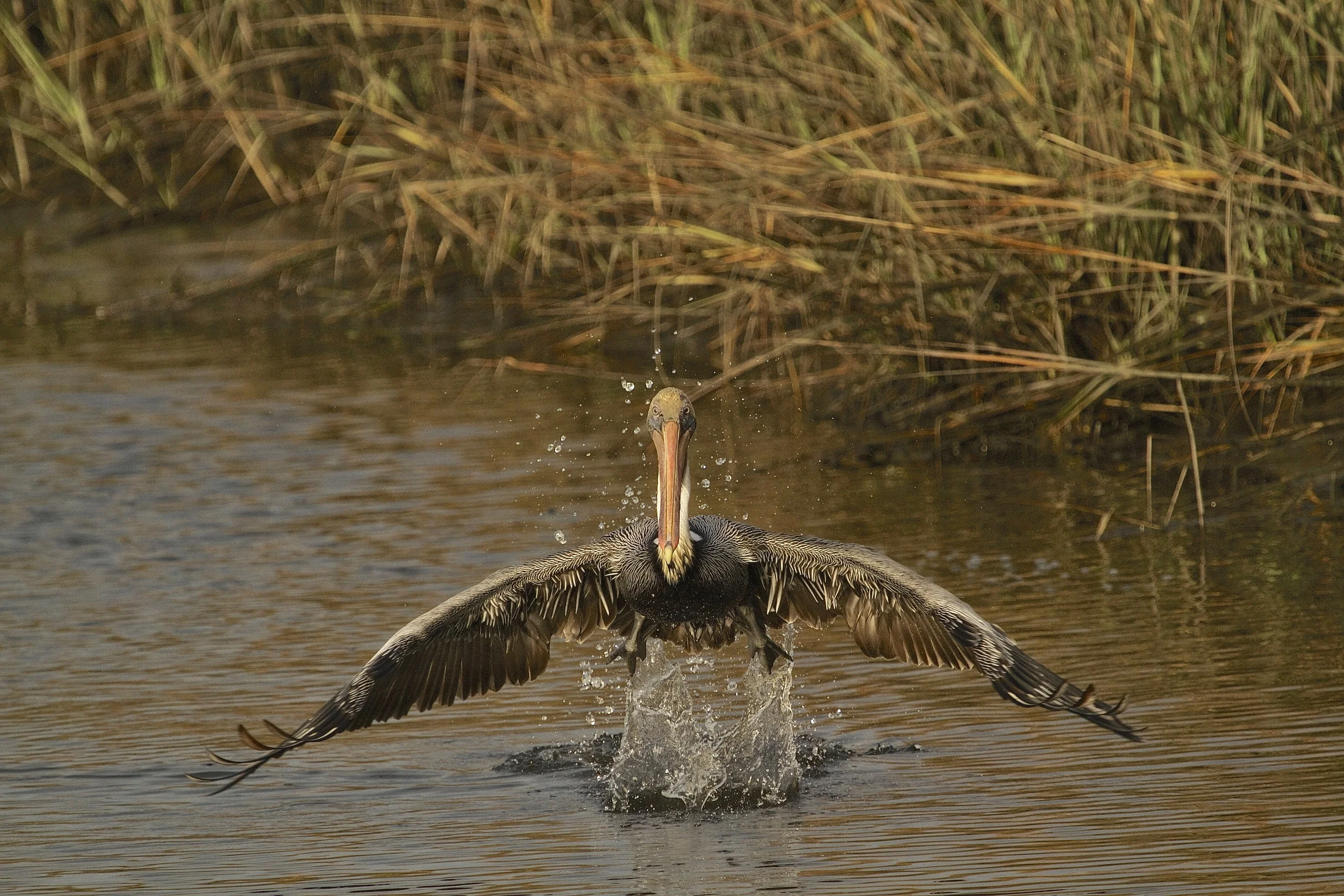 Takeoff..