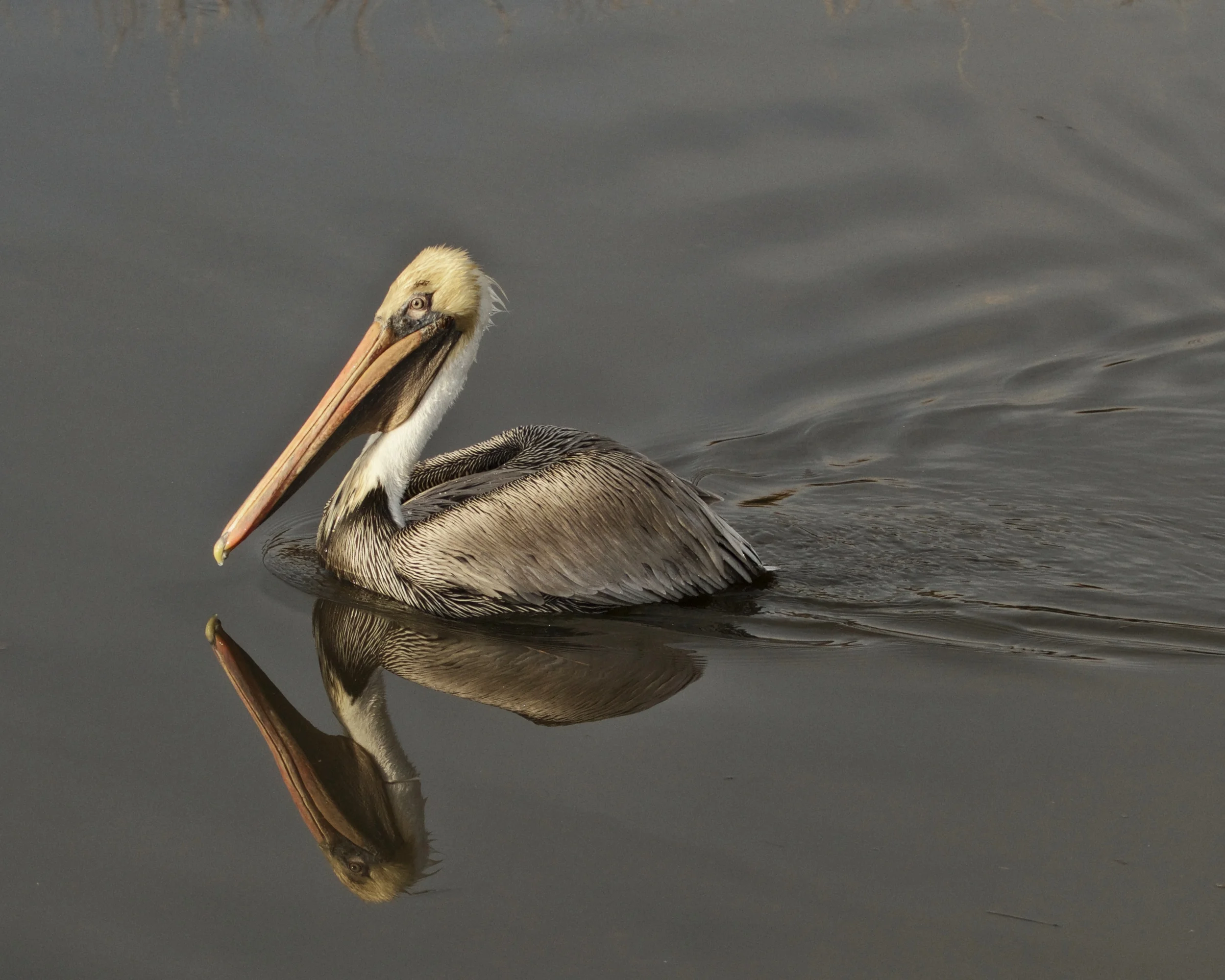 Glide by...