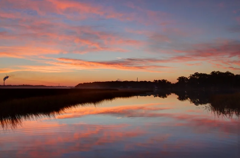 Beautiful pink Florida sunrise. What a serene moment. 