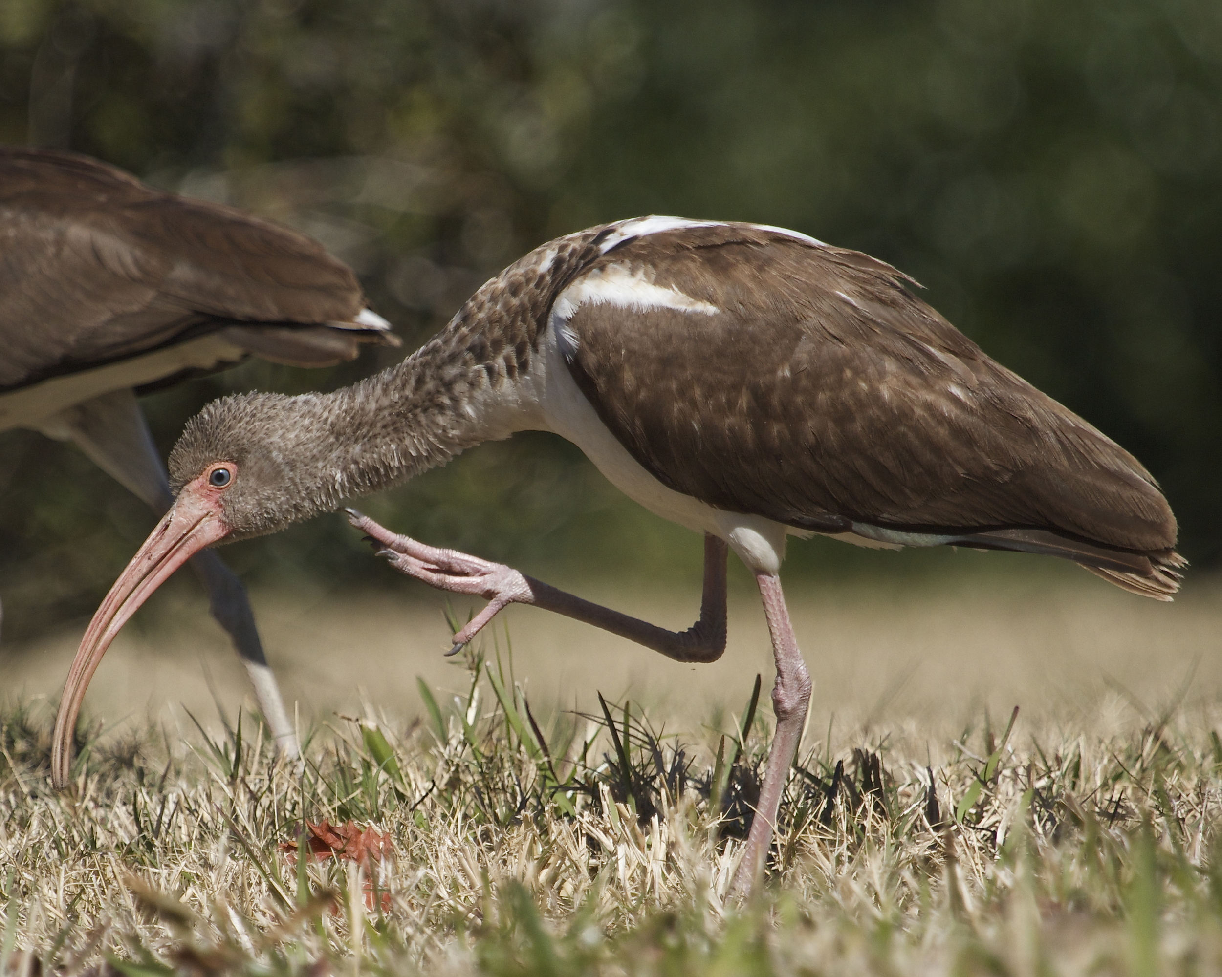 Got an itch...