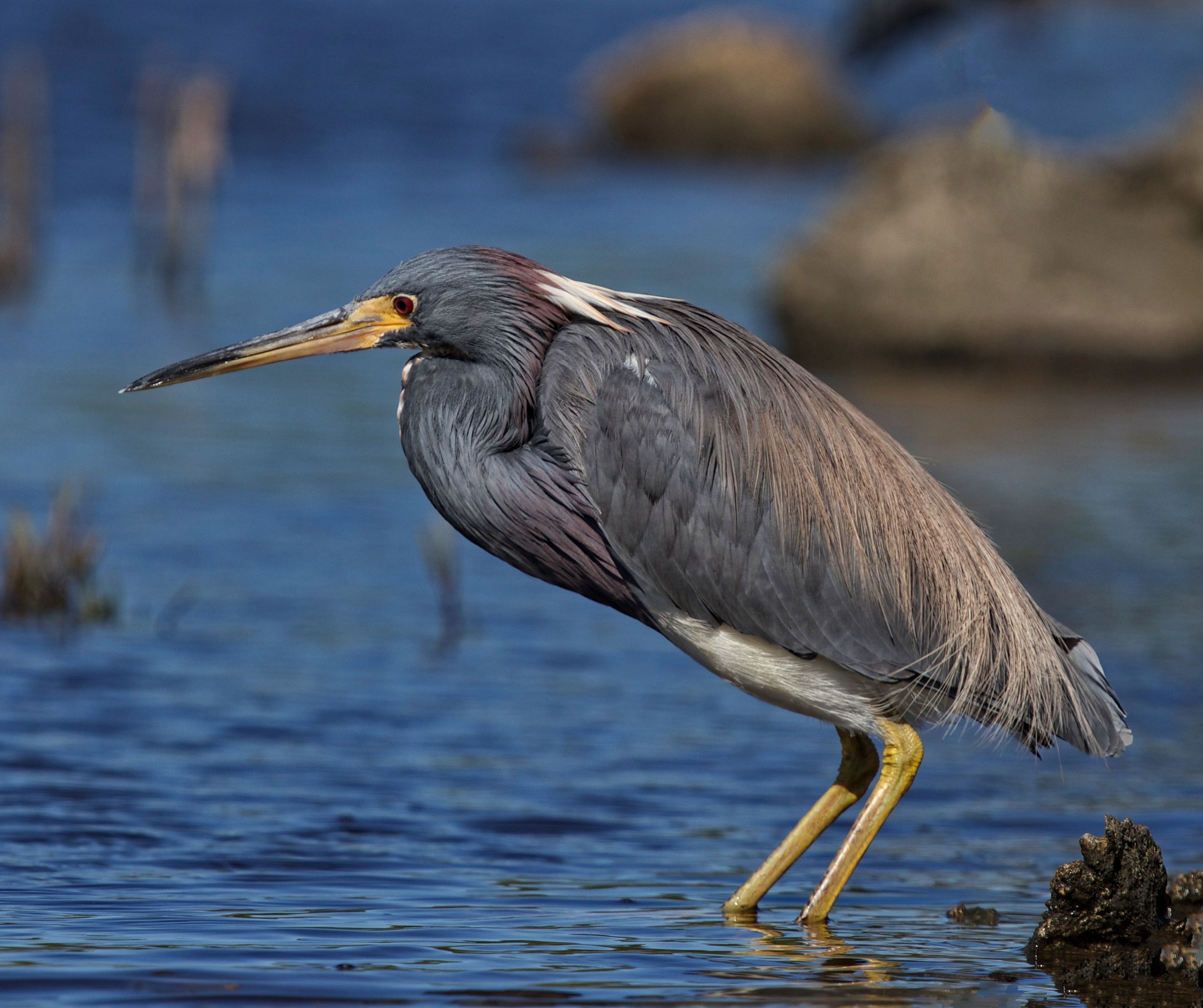 You have an extraordinary day while I wait here for my ordinary breakfast...fish!