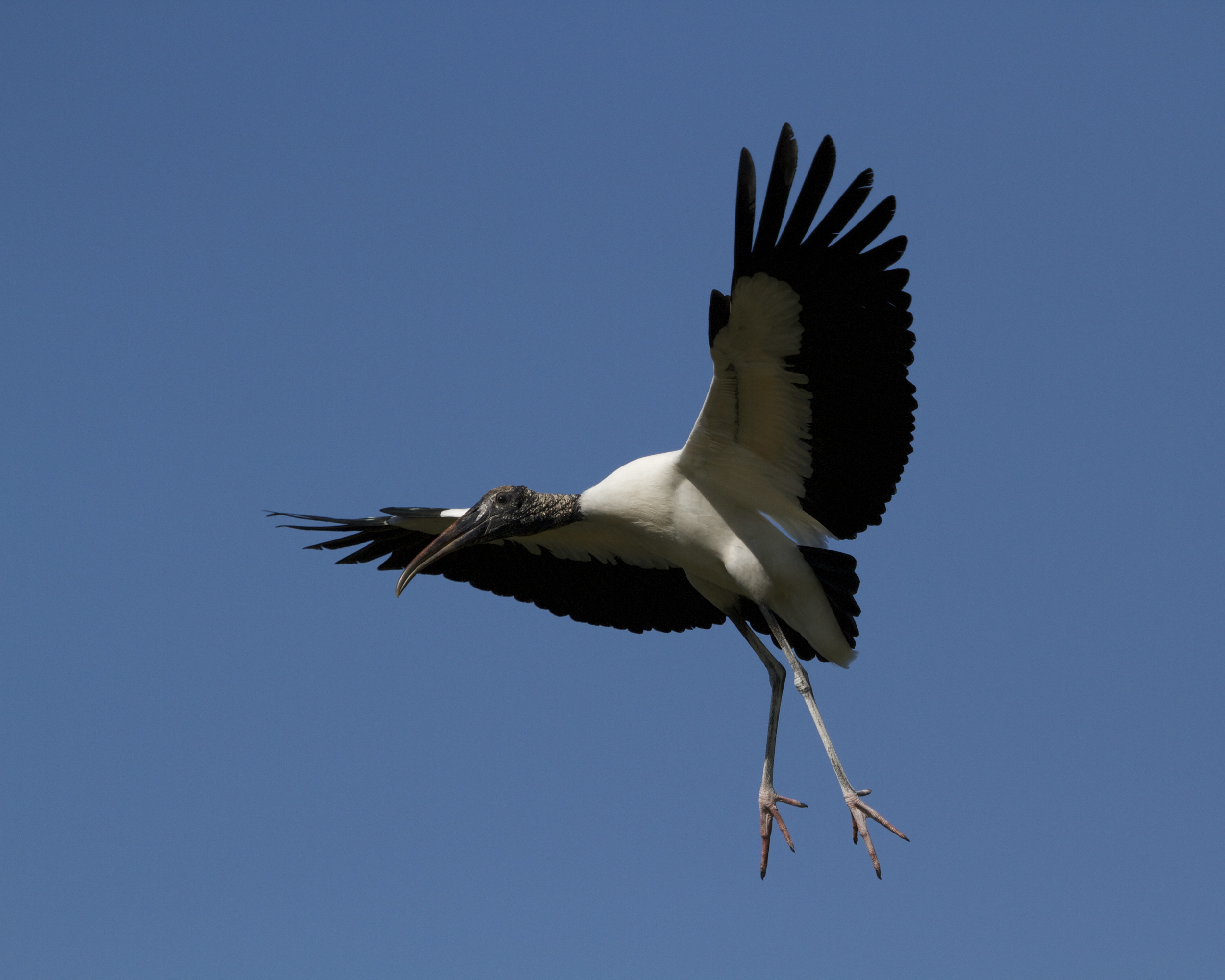 Flaps down, gear extended.